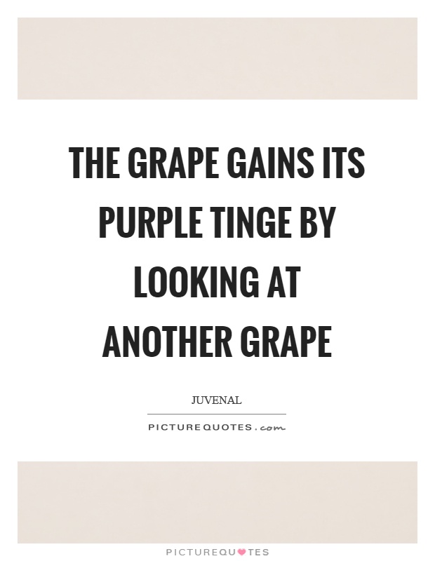 The grape gains its purple tinge by looking at another grape Picture Quote #1