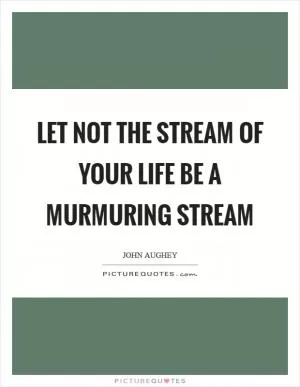 Let not the stream of your life be a murmuring stream Picture Quote #1