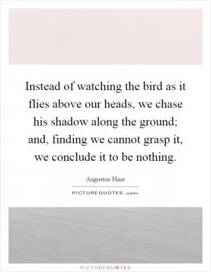 Instead of watching the bird as it flies above our heads, we chase his shadow along the ground; and, finding we cannot grasp it, we conclude it to be nothing Picture Quote #1