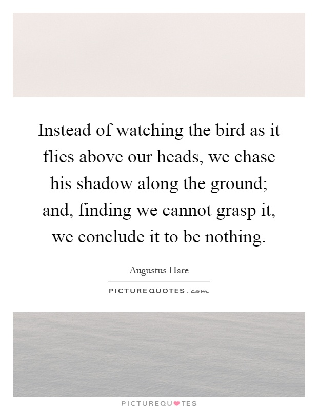 Instead of watching the bird as it flies above our heads, we chase his shadow along the ground; and, finding we cannot grasp it, we conclude it to be nothing Picture Quote #1