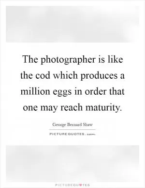 The photographer is like the cod which produces a million eggs in order that one may reach maturity Picture Quote #1