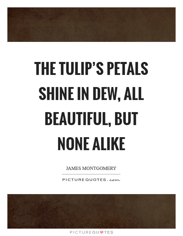 The tulip's petals shine in dew, all beautiful, but none alike Picture Quote #1