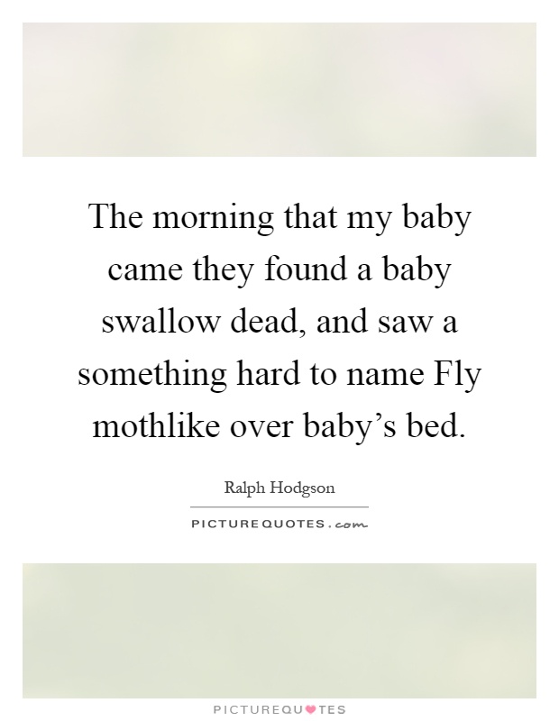 The morning that my baby came they found a baby swallow dead, and saw a something hard to name Fly mothlike over baby's bed Picture Quote #1