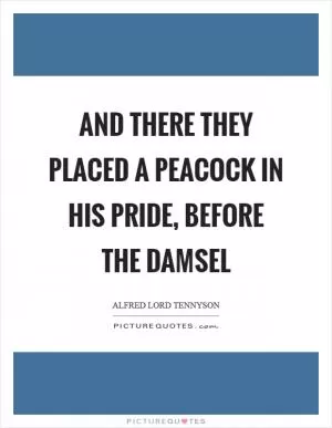 And there they placed a peacock in his pride, before the damsel Picture Quote #1