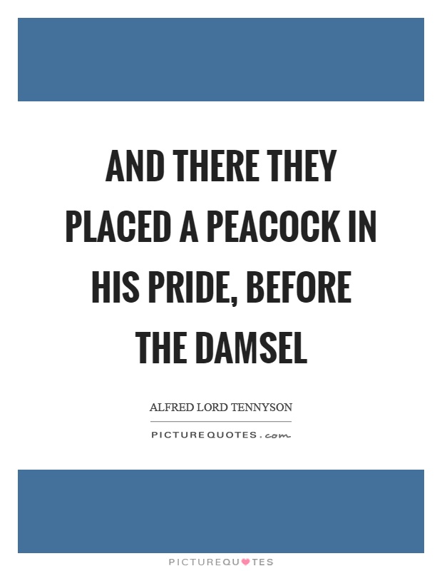 And there they placed a peacock in his pride, before the damsel Picture Quote #1