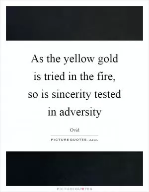 As the yellow gold is tried in the fire, so is sincerity tested in adversity Picture Quote #1
