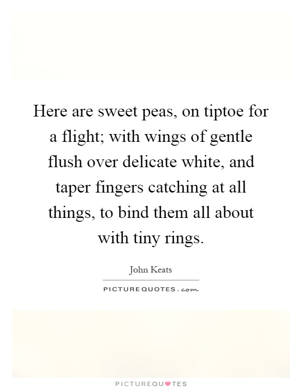 Here are sweet peas, on tiptoe for a flight; with wings of gentle flush over delicate white, and taper fingers catching at all things, to bind them all about with tiny rings Picture Quote #1