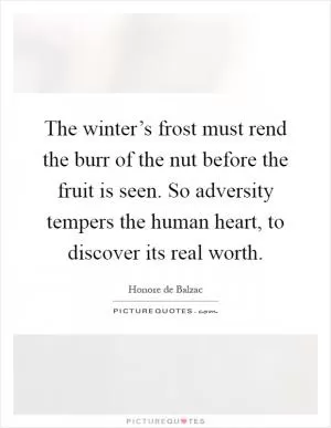 The winter’s frost must rend the burr of the nut before the fruit is seen. So adversity tempers the human heart, to discover its real worth Picture Quote #1