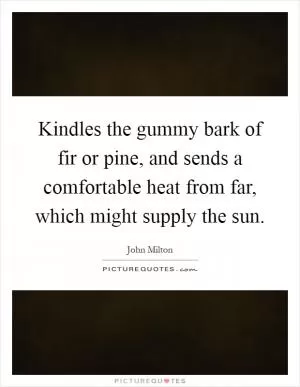 Kindles the gummy bark of fir or pine, and sends a comfortable heat from far, which might supply the sun Picture Quote #1