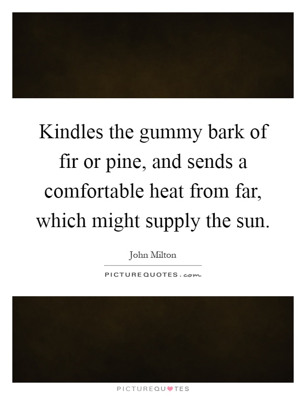 Kindles the gummy bark of fir or pine, and sends a comfortable heat from far, which might supply the sun Picture Quote #1