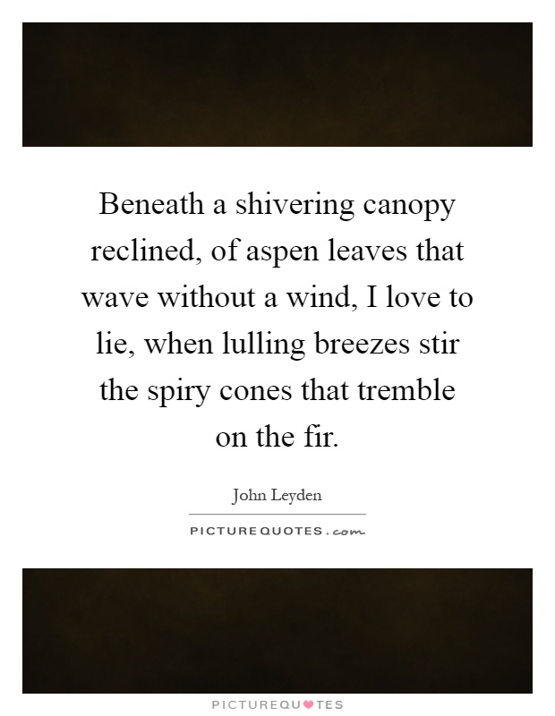 Beneath a shivering canopy reclined, of aspen leaves that wave without a wind, I love to lie, when lulling breezes stir the spiry cones that tremble on the fir Picture Quote #1
