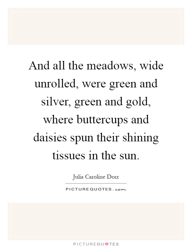 And all the meadows, wide unrolled, were green and silver, green and gold, where buttercups and daisies spun their shining tissues in the sun Picture Quote #1