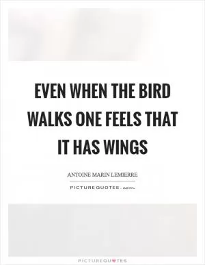 Even when the bird walks one feels that it has wings Picture Quote #1