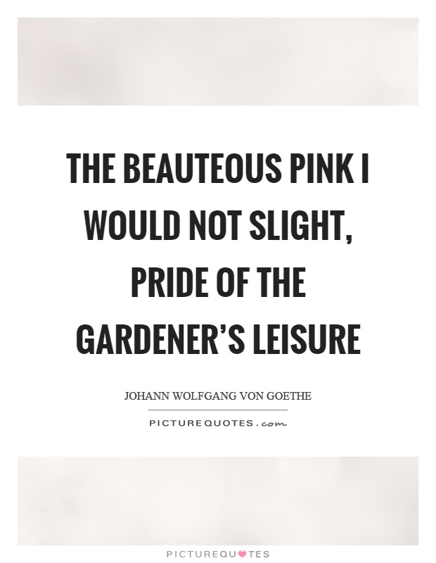 The beauteous pink I would not slight, pride of the gardener's leisure Picture Quote #1