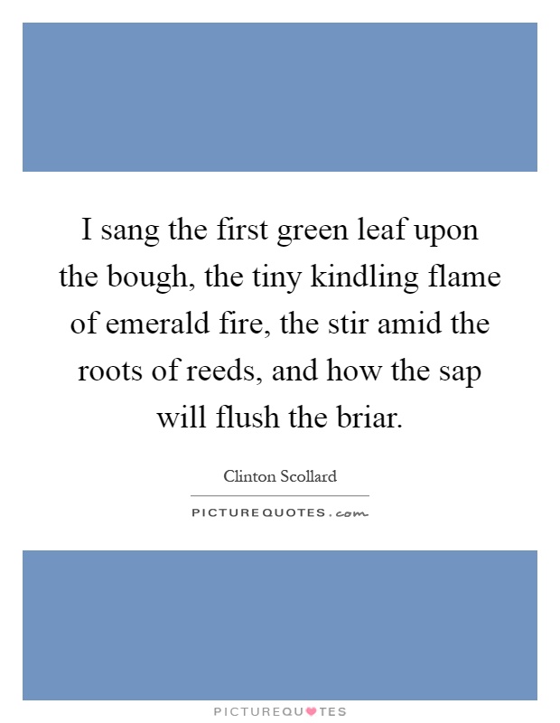 I sang the first green leaf upon the bough, the tiny kindling flame of emerald fire, the stir amid the roots of reeds, and how the sap will flush the briar Picture Quote #1