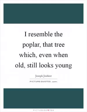 I resemble the poplar, that tree which, even when old, still looks young Picture Quote #1