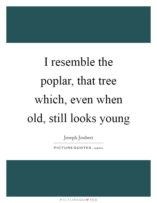 I resemble the poplar, that tree which, even when old, still looks young Picture Quote #1