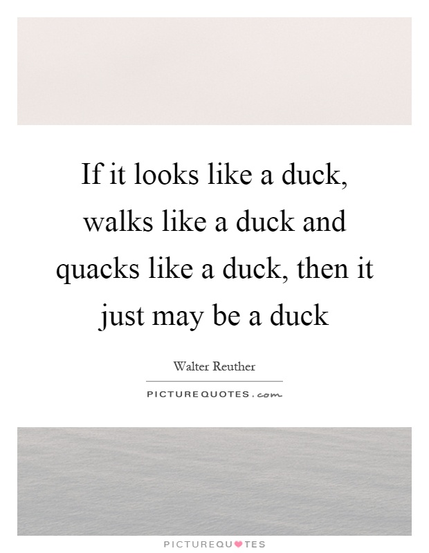 If it looks like a duck, walks like a duck and quacks like a duck, then it just may be a duck Picture Quote #1