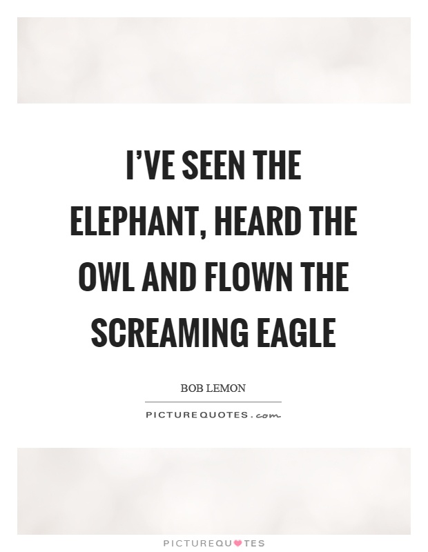 I've seen the elephant, heard the owl and flown the screaming eagle Picture Quote #1