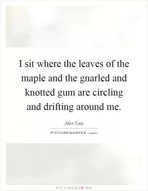 I sit where the leaves of the maple and the gnarled and knotted gum are circling and drifting around me Picture Quote #1