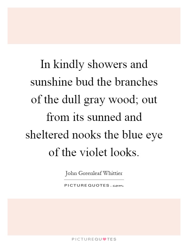 In kindly showers and sunshine bud the branches of the dull gray wood; out from its sunned and sheltered nooks the blue eye of the violet looks Picture Quote #1