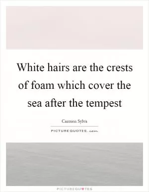 White hairs are the crests of foam which cover the sea after the tempest Picture Quote #1