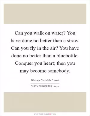 Can you walk on water? You have done no better than a straw. Can you fly in the air? You have done no better than a bluebottle. Conquer you heart; then you may become somebody Picture Quote #1