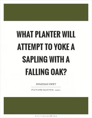 What planter will attempt to yoke a sapling with a falling oak? Picture Quote #1