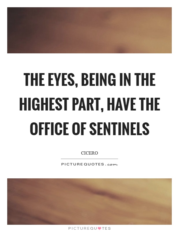 The eyes, being in the highest part, have the office of sentinels Picture Quote #1
