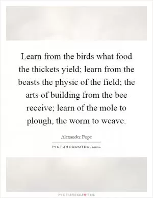 Learn from the birds what food the thickets yield; learn from the beasts the physic of the field; the arts of building from the bee receive; learn of the mole to plough, the worm to weave Picture Quote #1