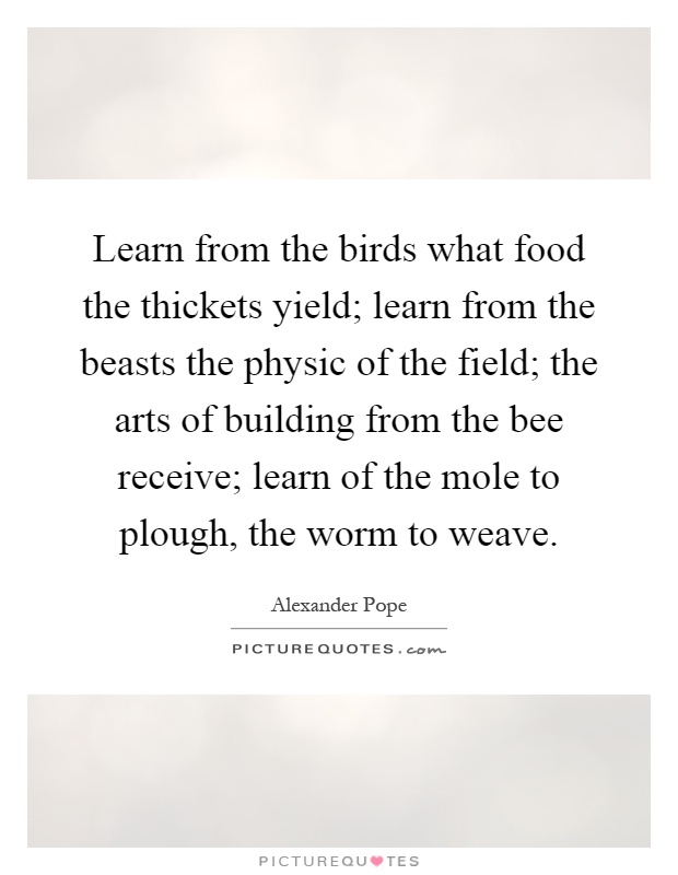 Learn from the birds what food the thickets yield; learn from the beasts the physic of the field; the arts of building from the bee receive; learn of the mole to plough, the worm to weave Picture Quote #1