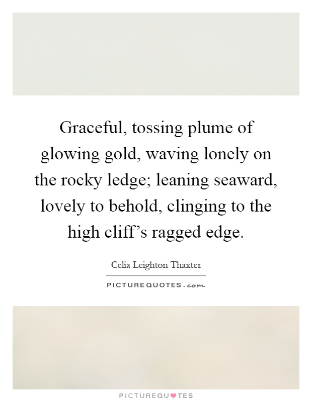 Graceful, tossing plume of glowing gold, waving lonely on the rocky ledge; leaning seaward, lovely to behold, clinging to the high cliff's ragged edge Picture Quote #1