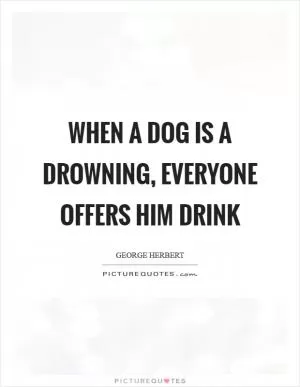 When a dog is a drowning, everyone offers him drink Picture Quote #1