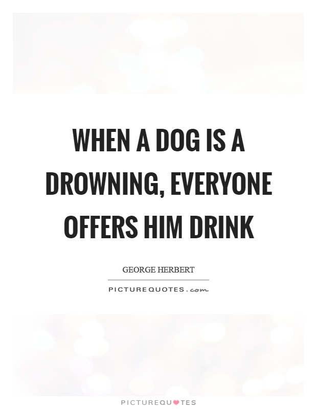 When a dog is a drowning, everyone offers him drink Picture Quote #1