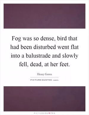 Fog was so dense, bird that had been disturbed went flat into a balustrade and slowly fell, dead, at her feet Picture Quote #1