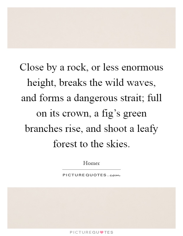Close by a rock, or less enormous height, breaks the wild waves, and forms a dangerous strait; full on its crown, a fig's green branches rise, and shoot a leafy forest to the skies Picture Quote #1