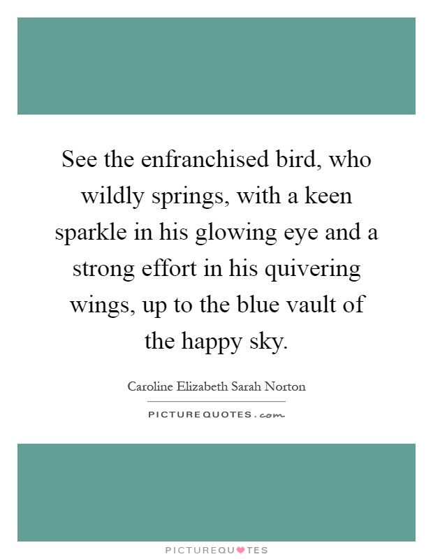 See the enfranchised bird, who wildly springs, with a keen sparkle in his glowing eye and a strong effort in his quivering wings, up to the blue vault of the happy sky Picture Quote #1