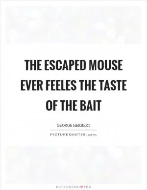 The escaped mouse ever feeles the taste of the bait Picture Quote #1