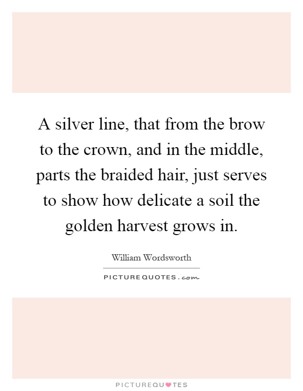 A silver line, that from the brow to the crown, and in the middle, parts the braided hair, just serves to show how delicate a soil the golden harvest grows in Picture Quote #1