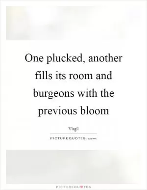 One plucked, another fills its room and burgeons with the previous bloom Picture Quote #1