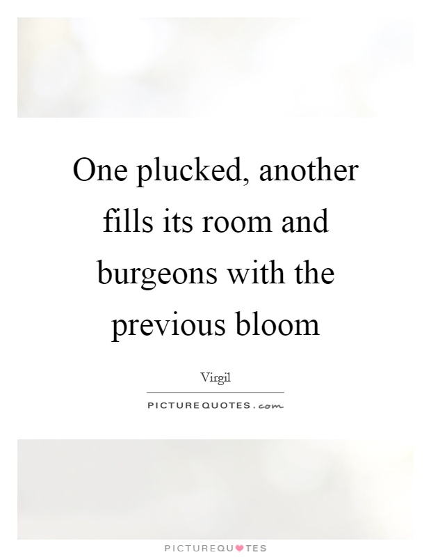 One plucked, another fills its room and burgeons with the previous bloom Picture Quote #1