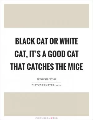 Black cat or white cat, it’s a good cat that catches the mice Picture Quote #1