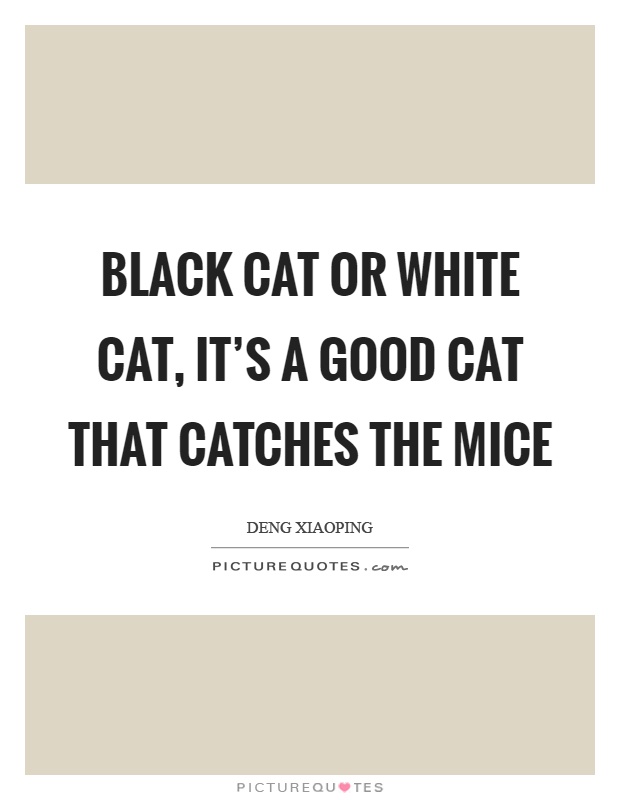 Black cat or white cat, it's a good cat that catches the mice Picture Quote #1