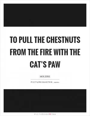 To pull the chestnuts from the fire with the cat’s paw Picture Quote #1