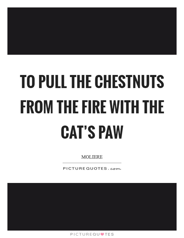 To pull the chestnuts from the fire with the cat's paw Picture Quote #1