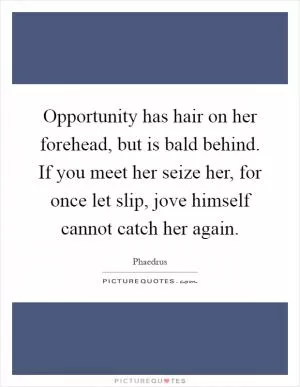 Opportunity has hair on her forehead, but is bald behind. If you meet her seize her, for once let slip, jove himself cannot catch her again Picture Quote #1