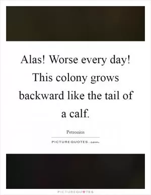 Alas! Worse every day! This colony grows backward like the tail of a calf Picture Quote #1