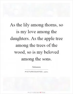 As the lily among thorns, so is my love among the daughters. As the apple tree among the trees of the wood, so is my beloved among the sons Picture Quote #1