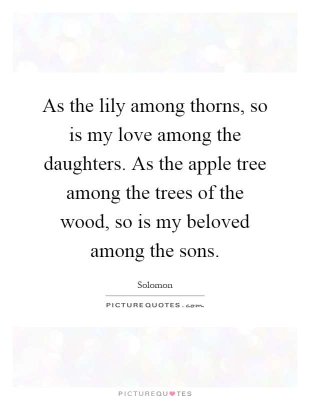 As the lily among thorns, so is my love among the daughters. As the apple tree among the trees of the wood, so is my beloved among the sons Picture Quote #1