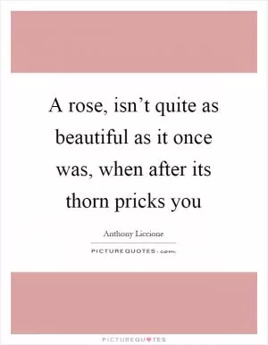 A rose, isn’t quite as beautiful as it once was, when after its thorn pricks you Picture Quote #1